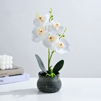 1 Комплект 5 цветов Искусственные Цветы Бабочка Орхидея Высококачественная имитация искусственных цветов Креативная имитация растений в горшках на стене Изображение